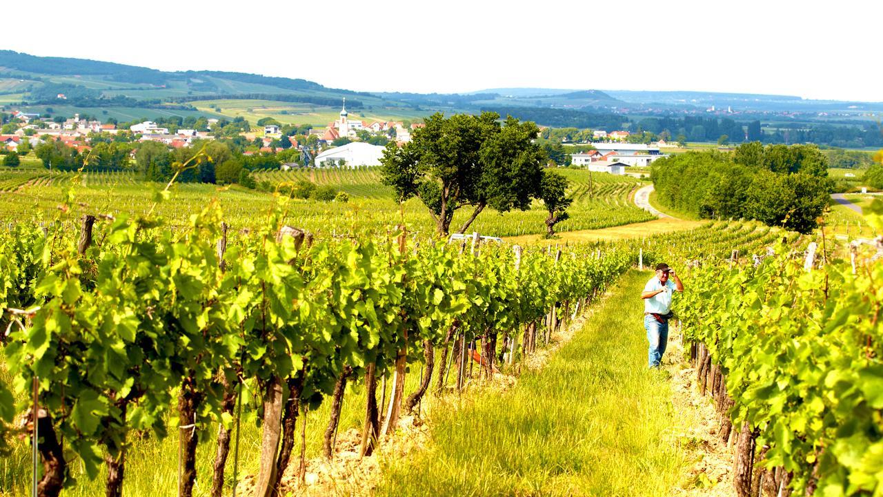 Ferienwohnung IBY-LEHRNER WEIN-GUT und WEIN-Träumerei Horitschon Exterior foto